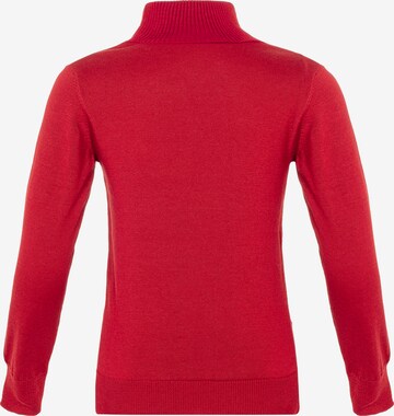 CIPO & BAXX Sweater in Red