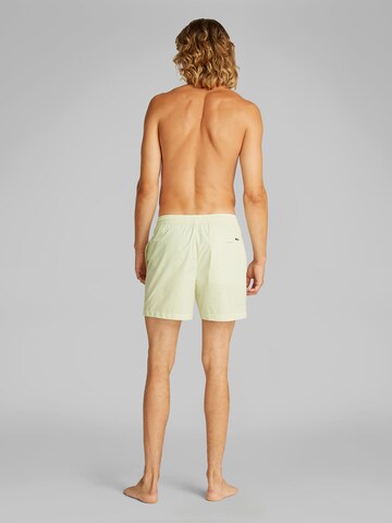Calvin Klein Swimwear Плавательные шорты в Зеленый