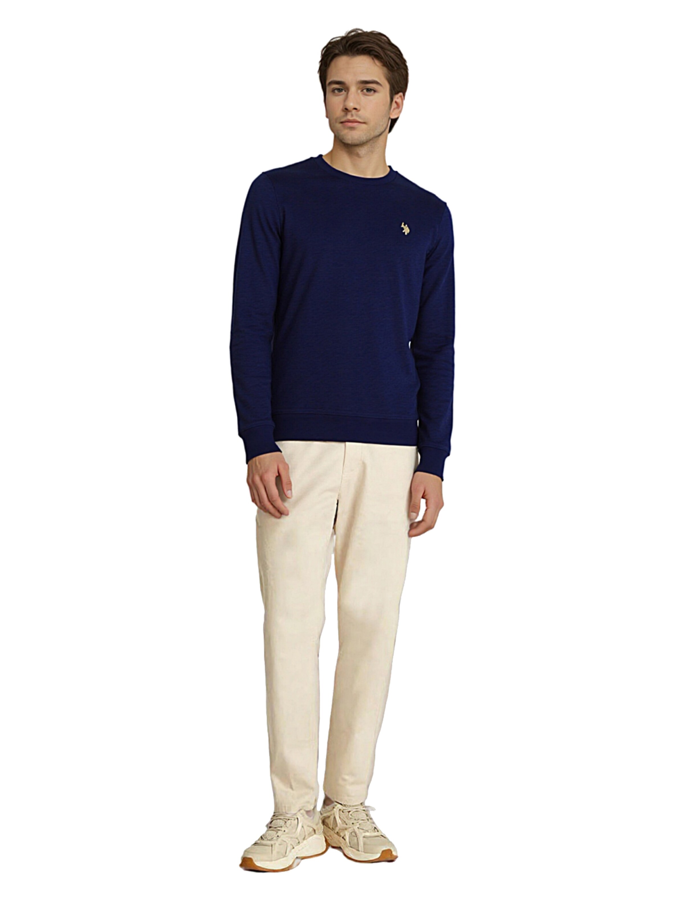 U.S. POLO ASSN. Sweater in Blue