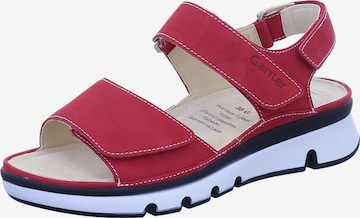 Ganter Sandals 'Gianna' in Red: front