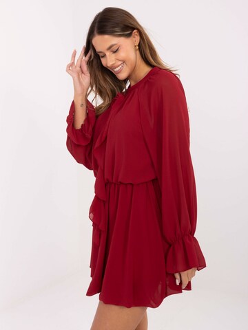 Madnezz House Dress in Red