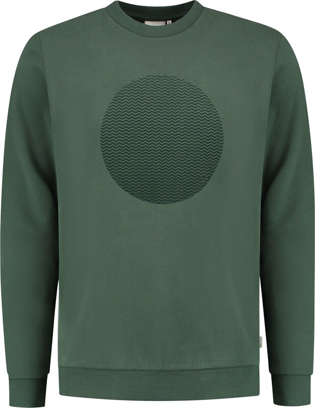 Shiwi Sweatshirt in Grün Dunkelgrün