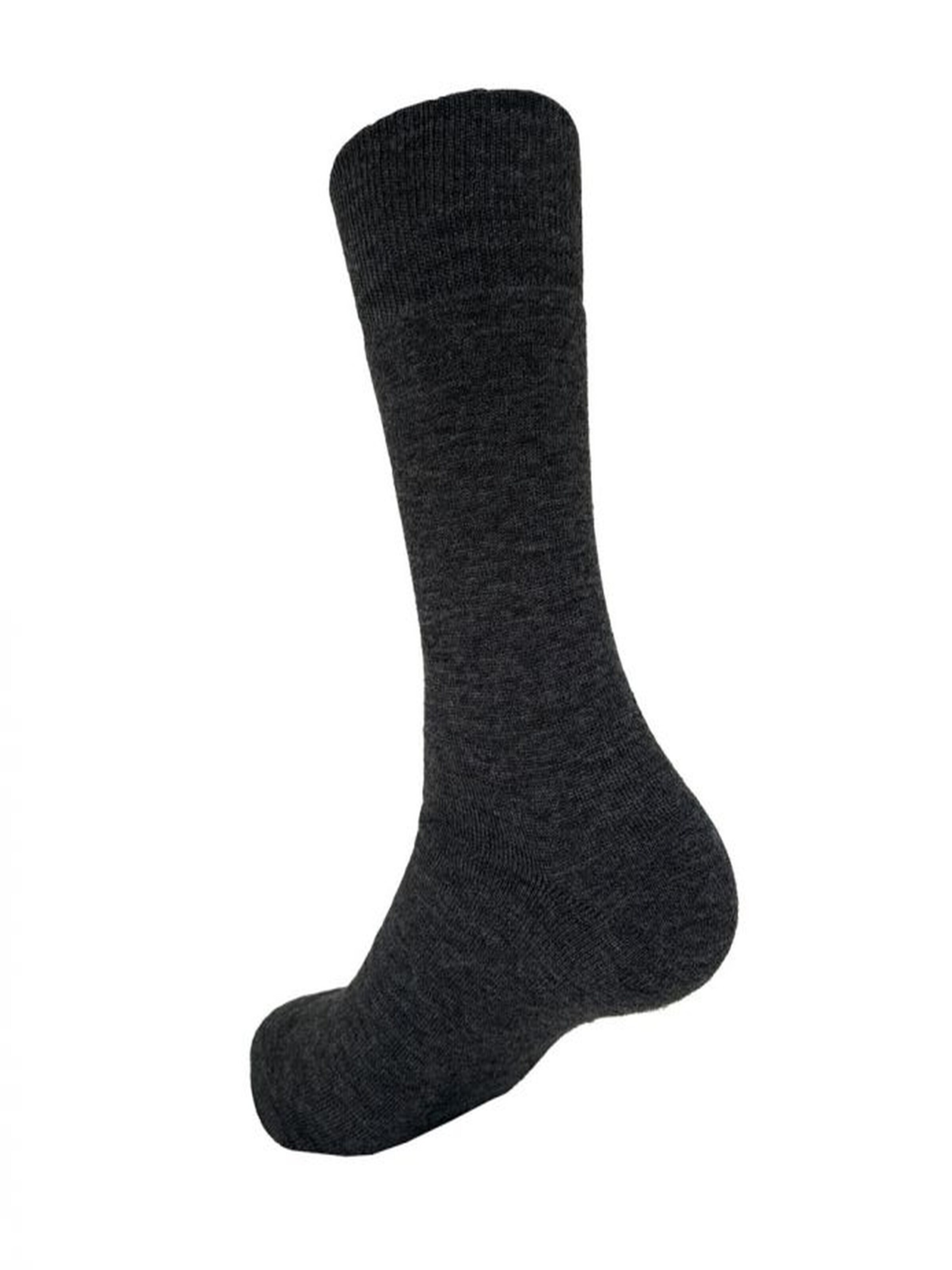 LINDNER SOCKS - Calcetines 'LINDNER casual' en gris: frente