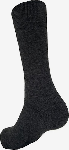 LINDNER SOCKS Sukat 'LINDNER casual' värissä harmaa: etupuoli