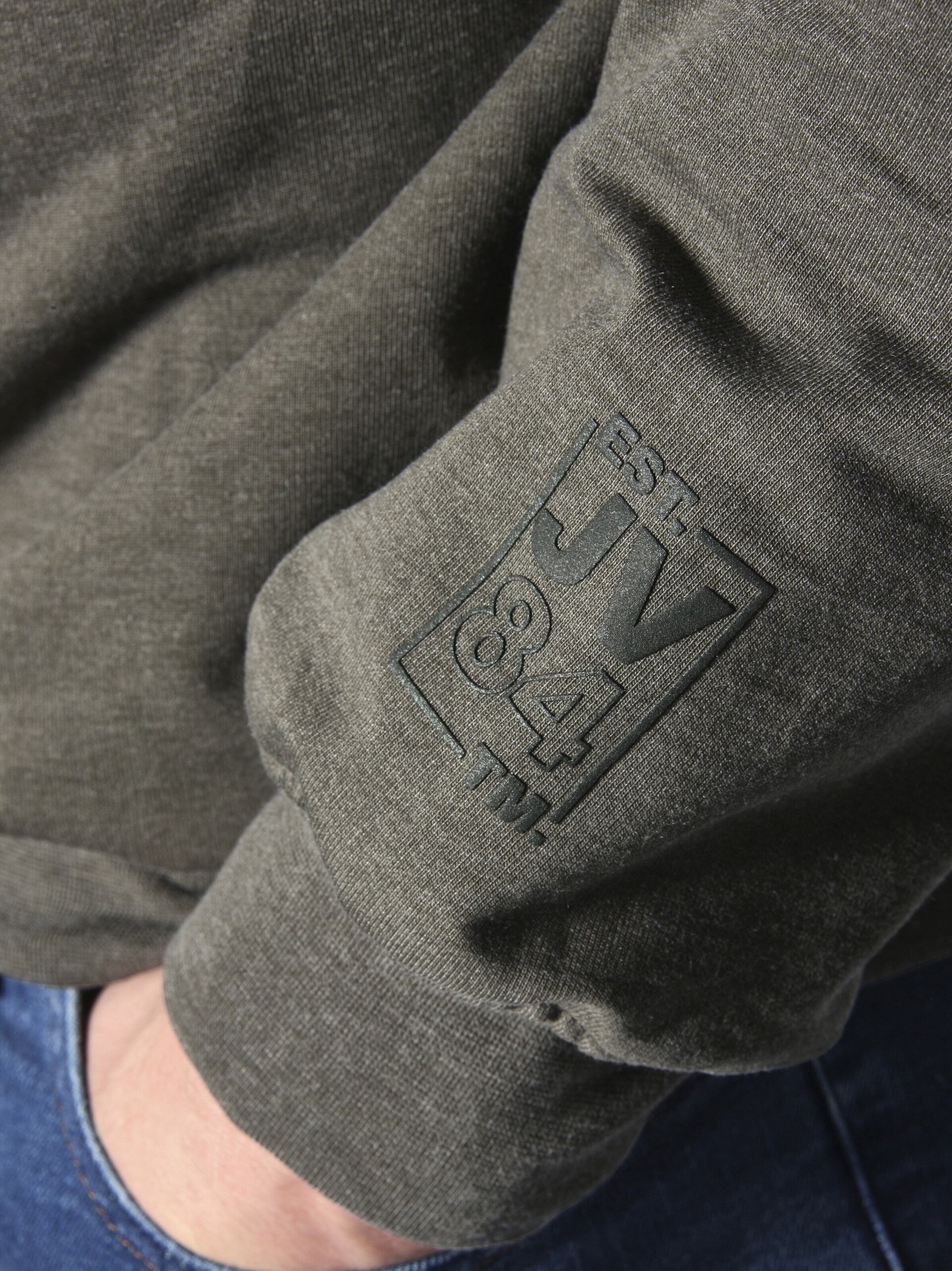 Jan Vanderstorm Sweatshirt 'Tjomme' in Grün