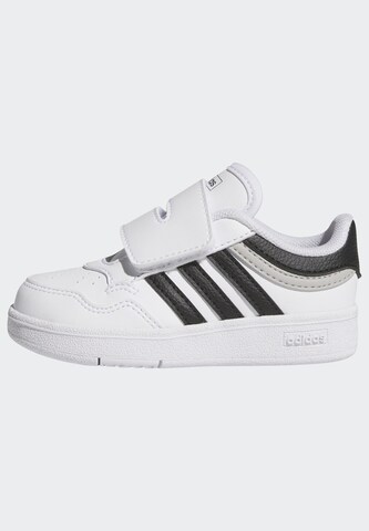 ADIDAS SPORTSWEAR Sneakers in White: front