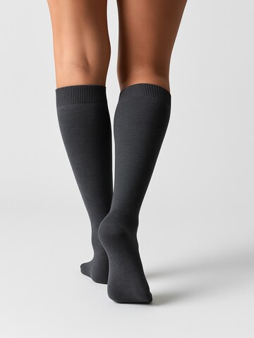 NERS Knee High Socks 'Novera' in Grey