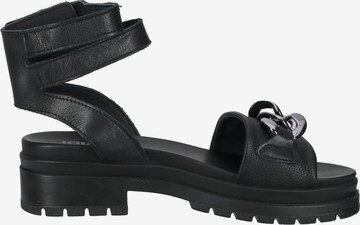 IGI&CO Sandals in Black