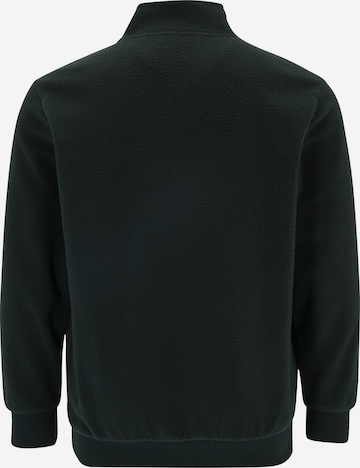 Jack & Jones Plus Sweatshirt 'HAYS' i grøn