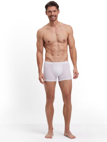 FALKE Boxer shorts in White