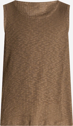 T-Shirt COSTUMEIN en marron : devant