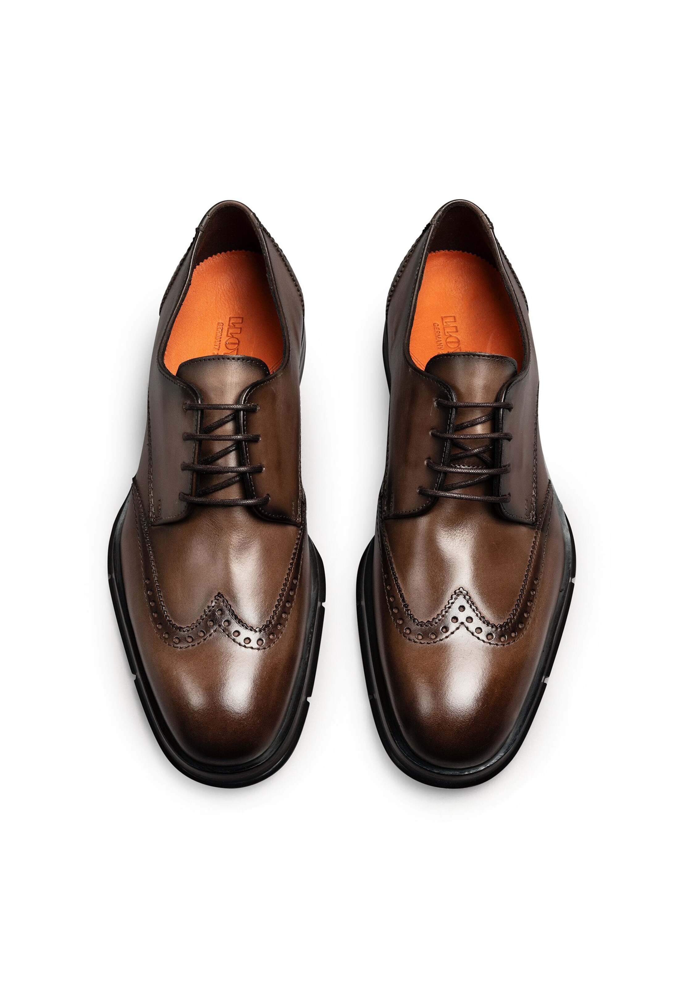 LLOYD Schnürschuh 'Nairobi' in Braun