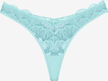 Tanga 'Palina' de la TRIUMPH pe albastru: față