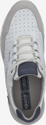 IGI&CO Sneakers in Grey