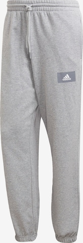 ADIDAS SPORTSWEAR Workout Pants in Grey: front