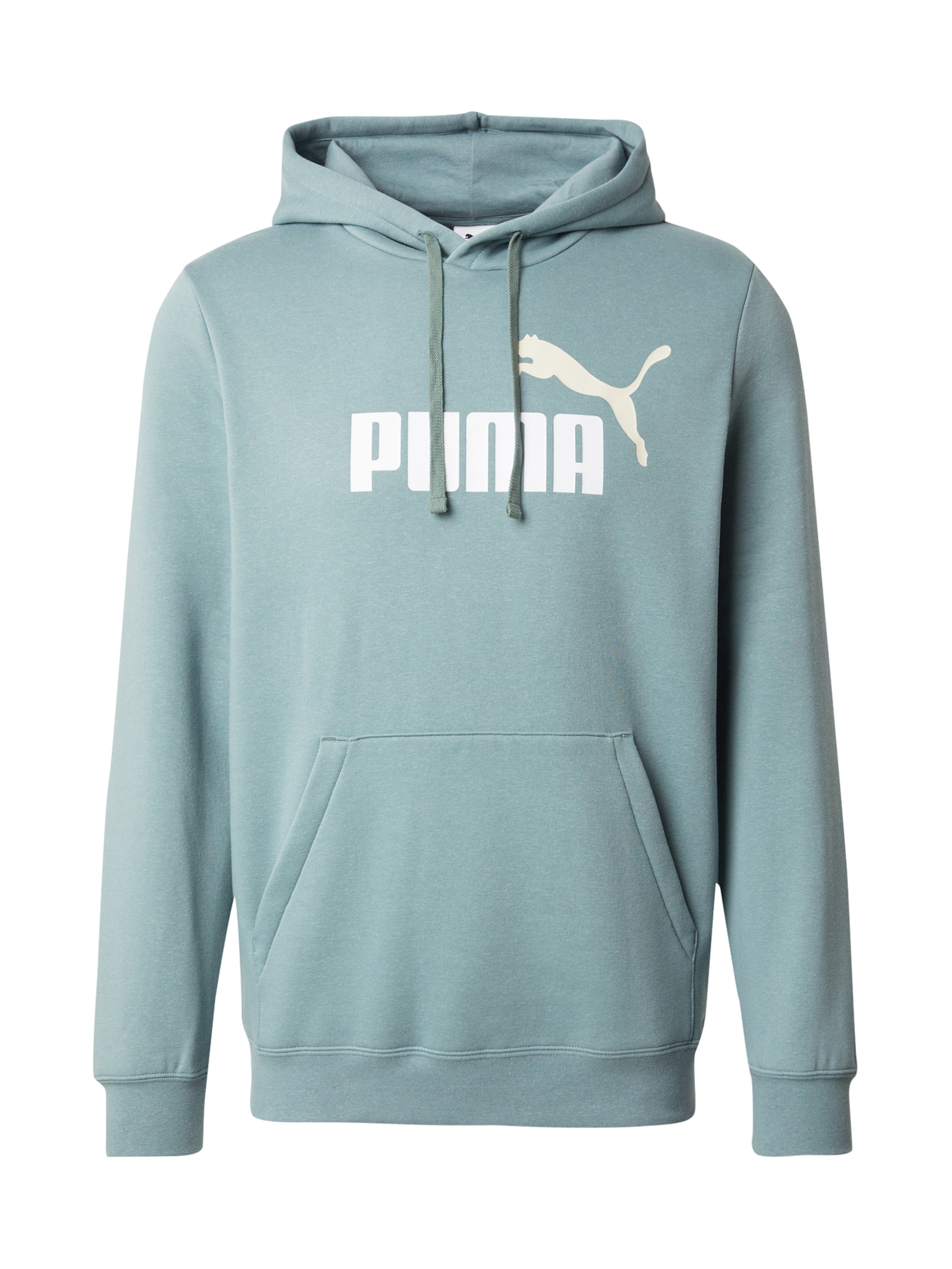 Felpa sportiva 'ESS No. 1' di PUMA in verde: frontale