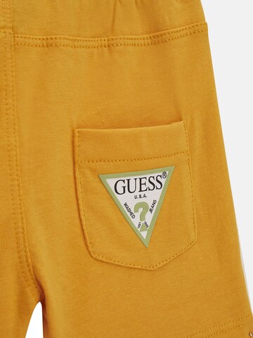 GUESS Set in Mixed colors