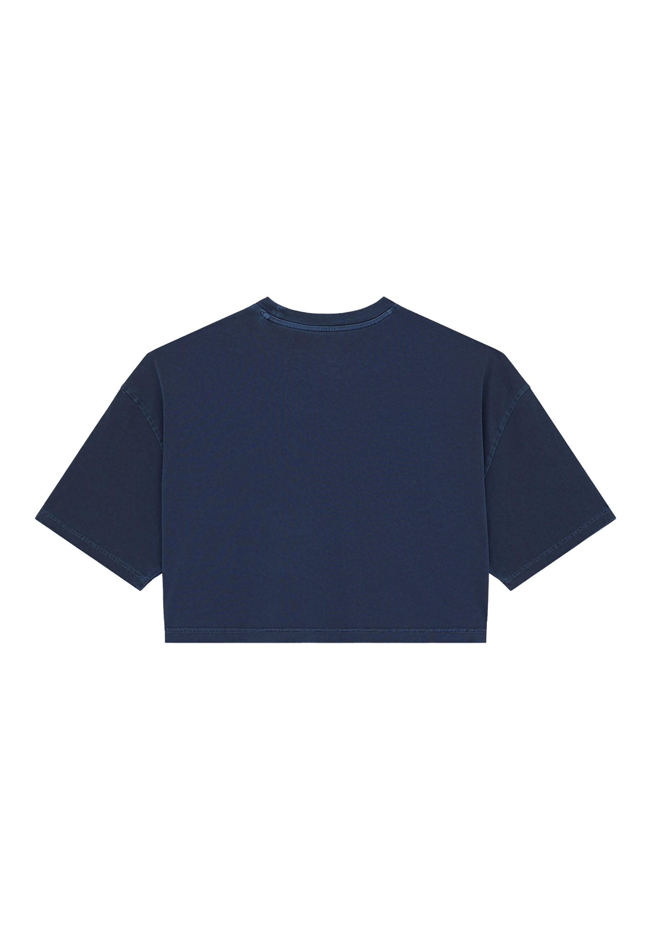 DICKIES Koszulka 'CLARKDALE ' w kolorze niebieski
