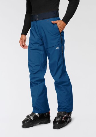 F2 Regular Workout Pants in Blue