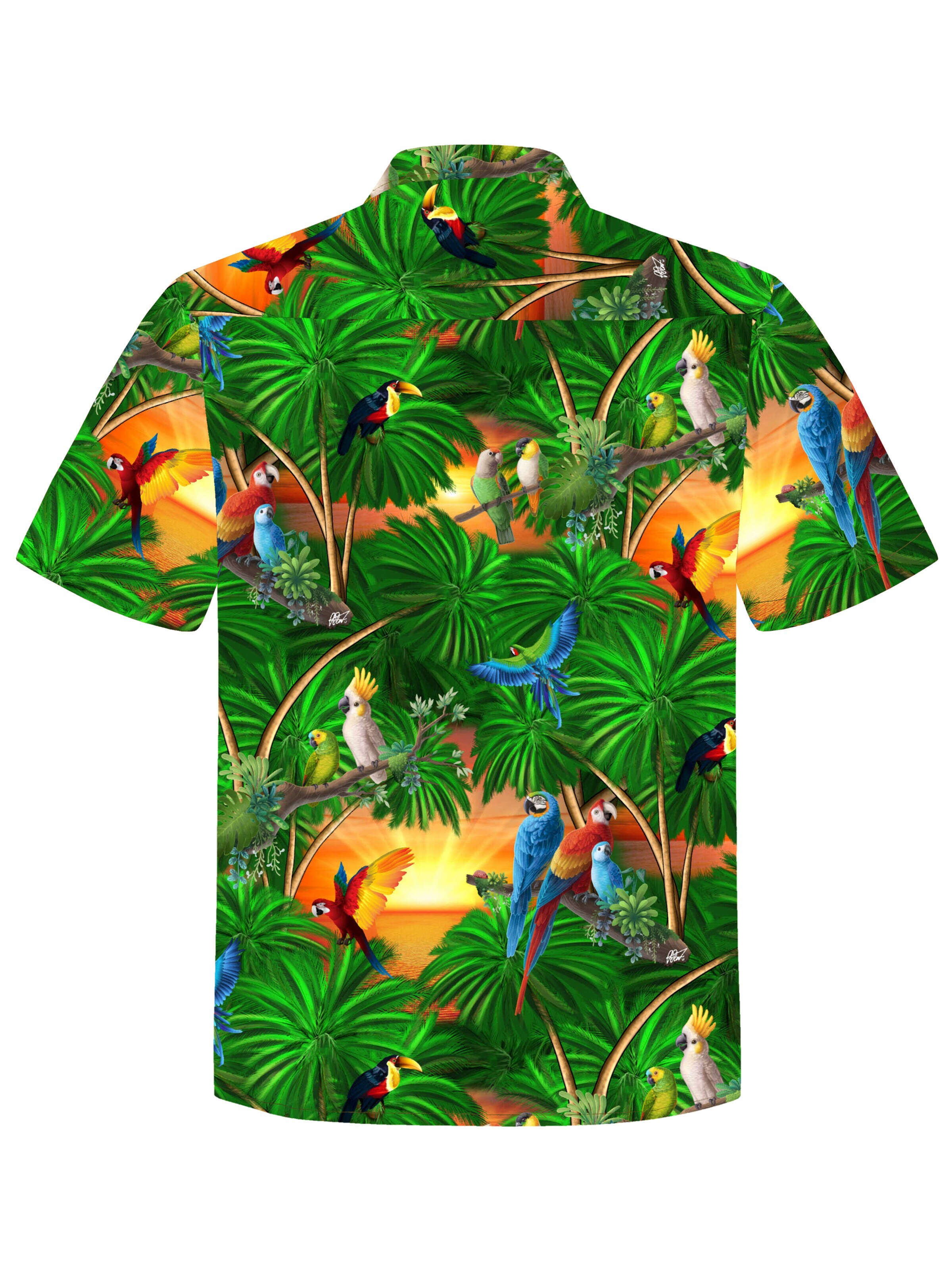 Hawaiihemdshop.de Regularny krój Koszula 'Hawaiihemd "Jungle Parrots"' w kolorze zielony