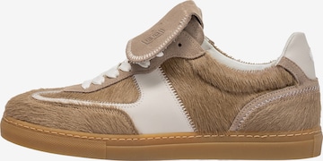 Sneaker bassa 'Minni 07' di Floris van Bommel in marrone: frontale
