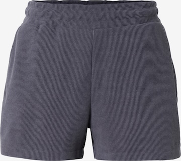 Pantaloni 'Noli' di Pegador in grigio: frontale