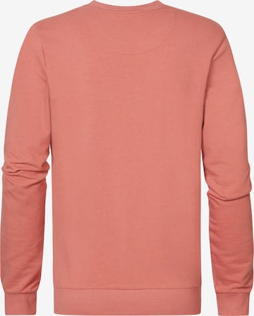 Petrol Industries Sweatshirt in Pink