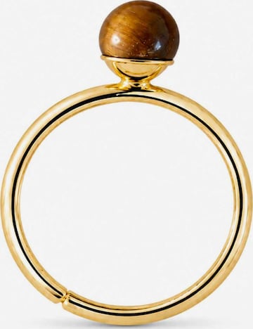 RteRmePrsten 'Reine Ring Tiger’s eye' - zlatna boja: prednji dio
