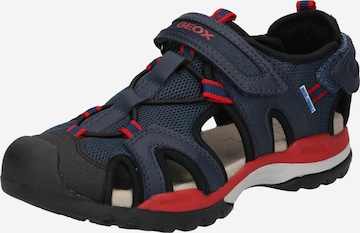 GEOX Sandals & Slippers 'Borealis' in Blue: front