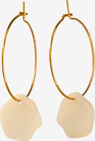 Fräulein Wunder Ohrringe 'Acetat Creolen Alice' in Beige: Vorderseite