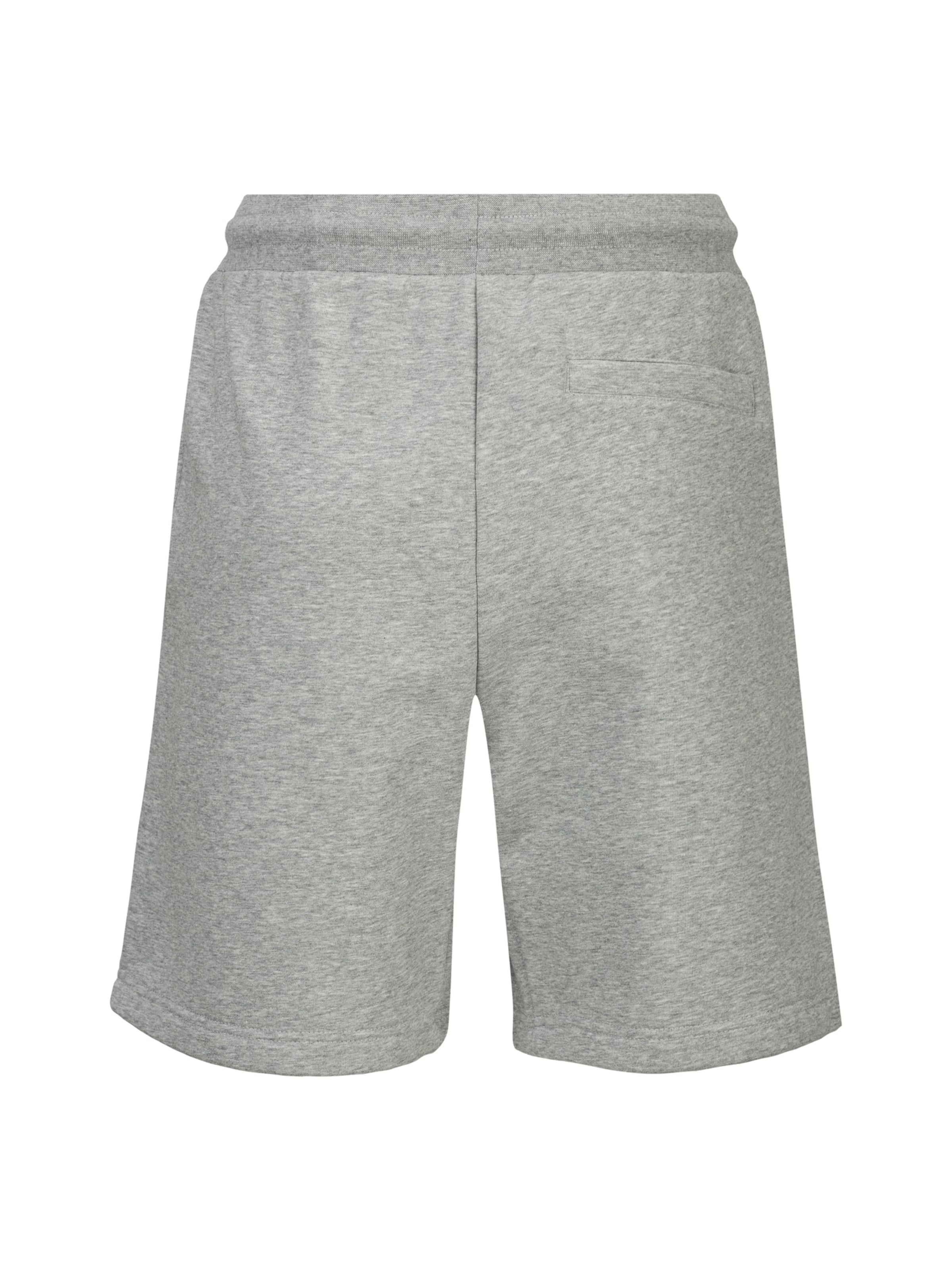 19V69 ITALIA Regular Broek 'Sergio' in Grijs