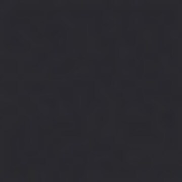 BOSS Winter Parka in Black