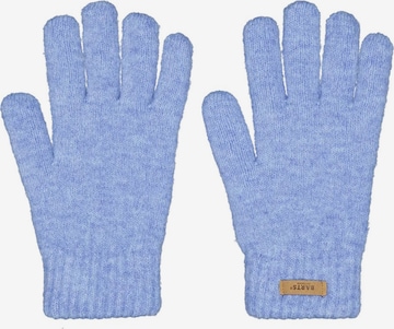 Gants 'Witzia' Barts en bleu : devant