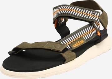 ADIDAS PERFORMANCE Sandals in Green: front