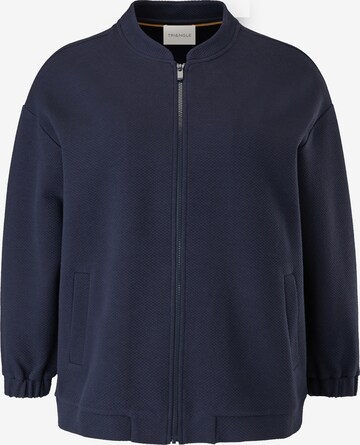 TRIANGLE Zip-Up Hoodie in Blue: front