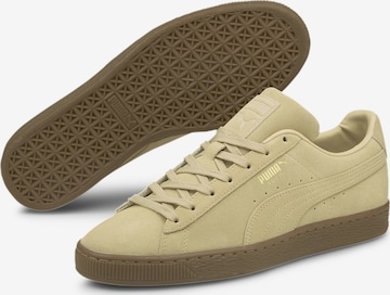 Baskets basses PUMA en beige