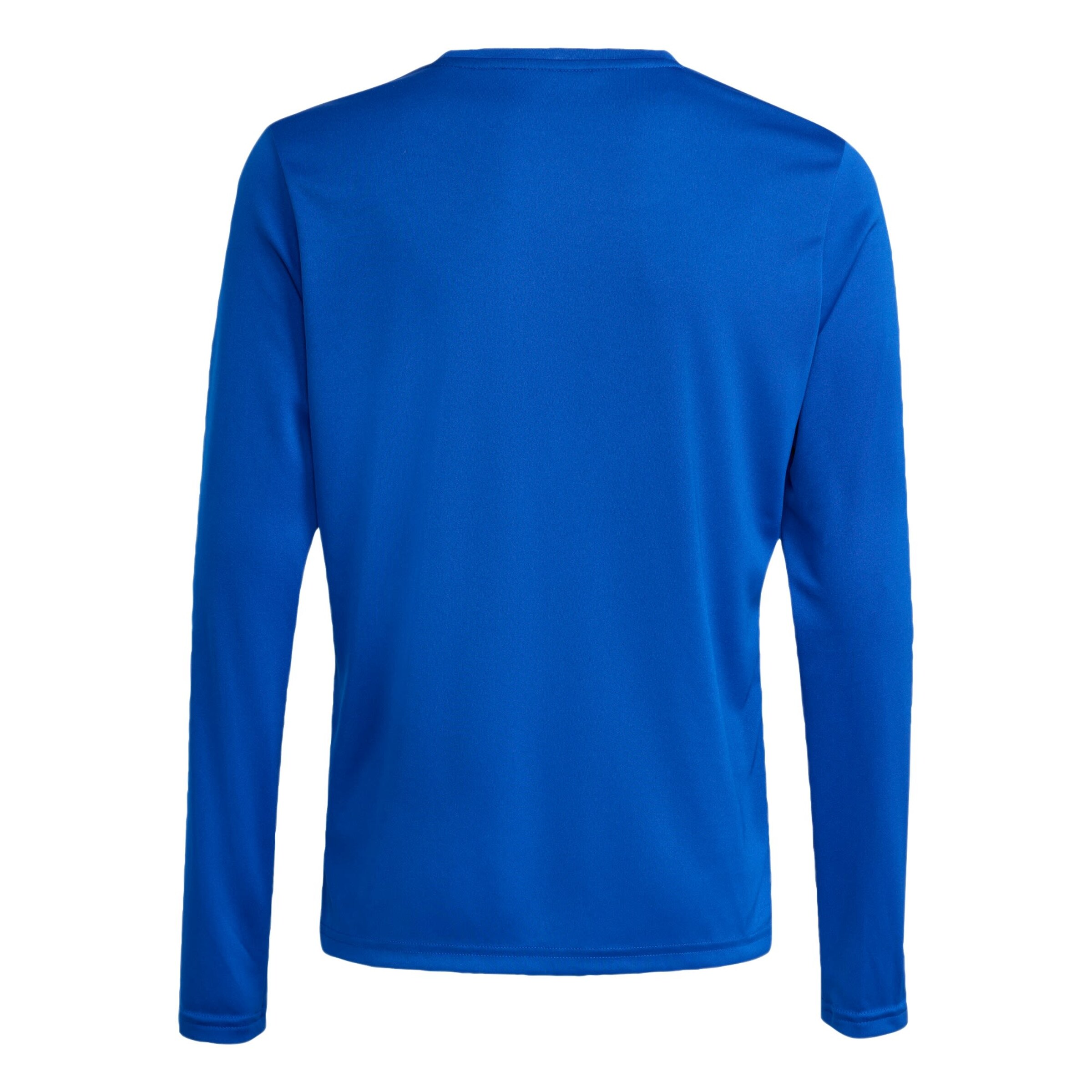 ADIDAS PERFORMANCE - Camiseta funcional 'Entrada26' en azul