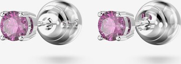 Swarovski Ohrringe in Pink