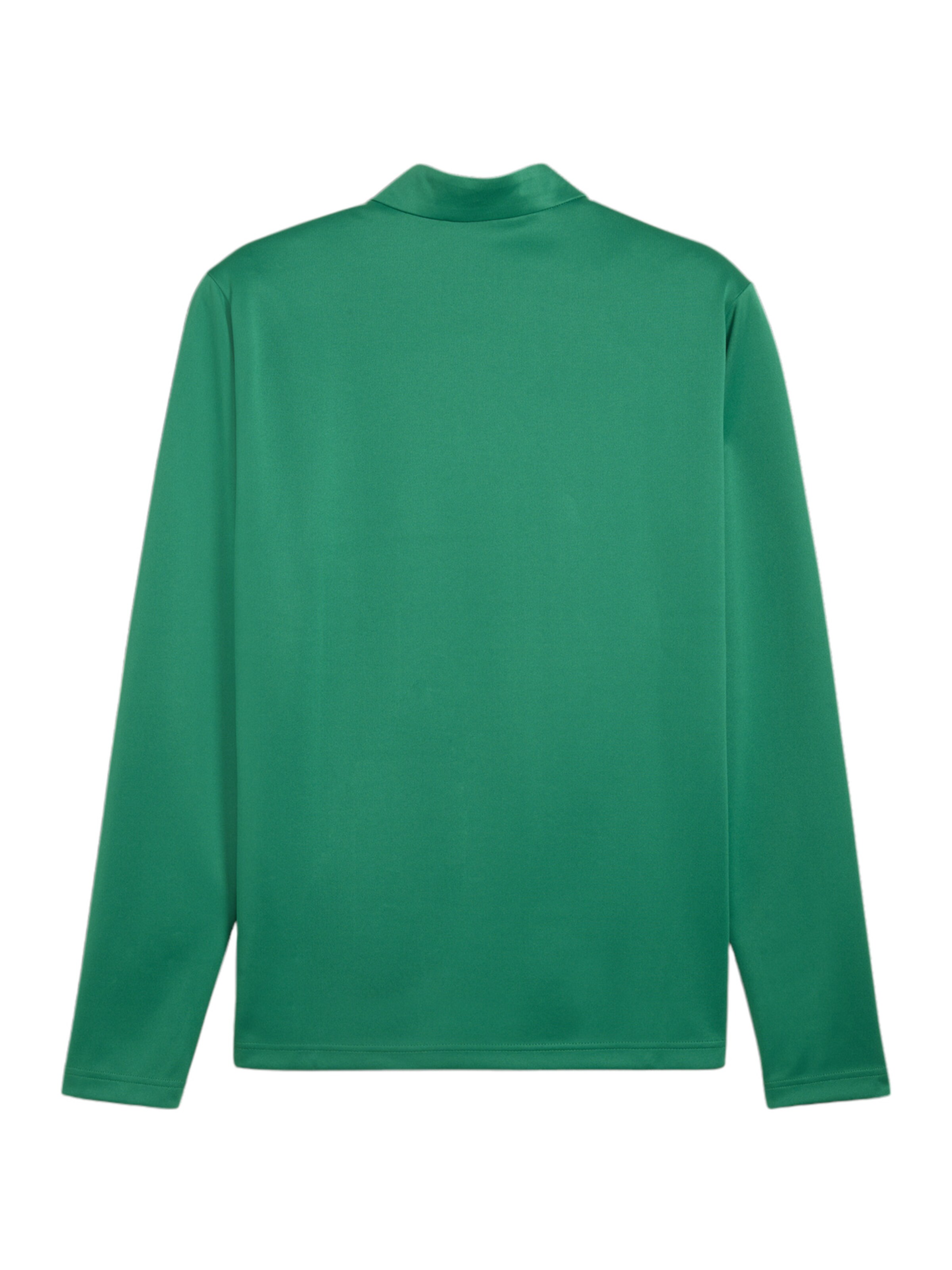 PUMA Funktionsshirt 'TeamGoal' in Grün