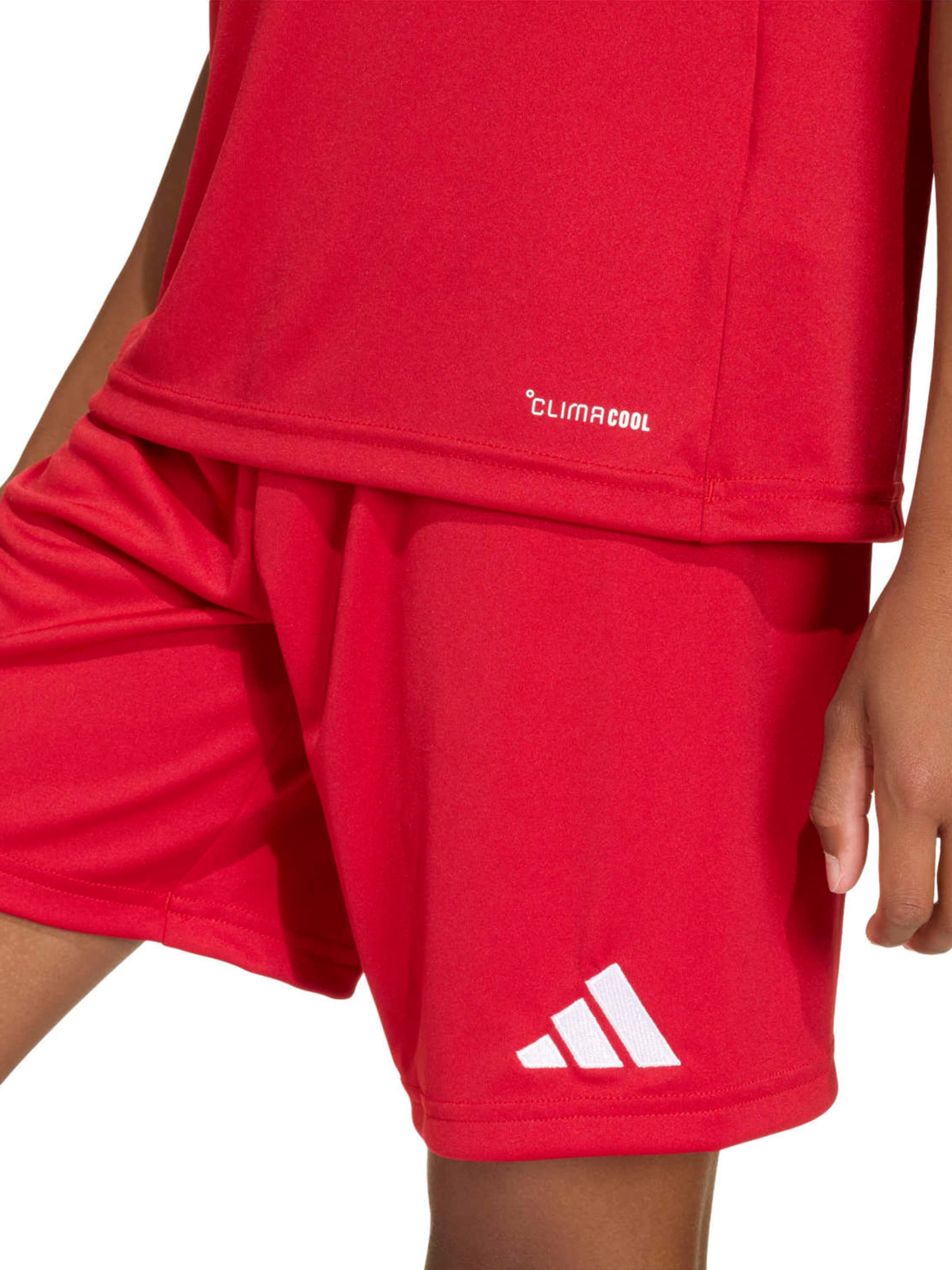 ADIDAS PERFORMANCE Funkční tričko 'ENT26' – červená