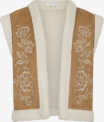 Gilet Apricot en marron : devant