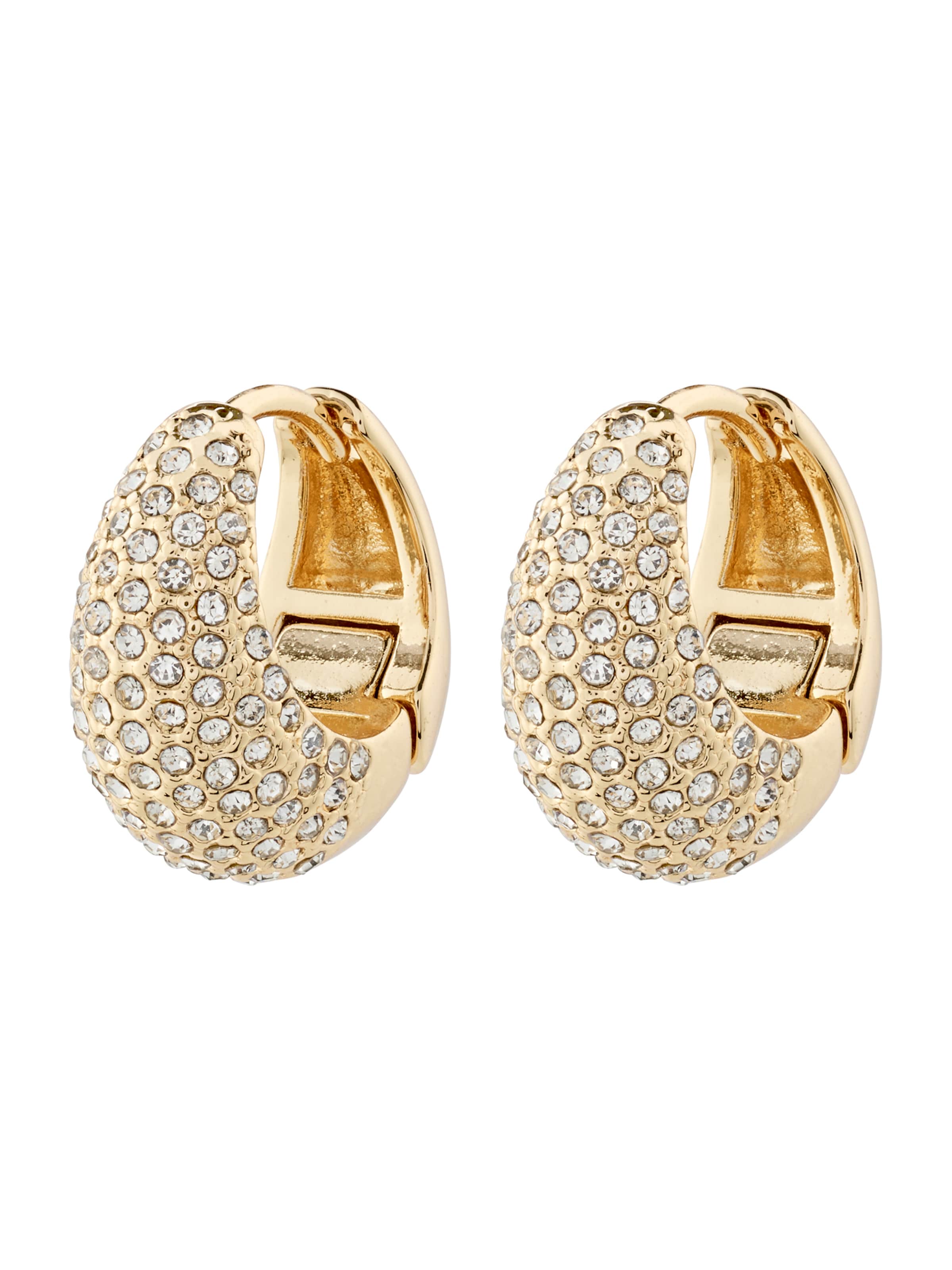 Pilgrim Örhängen 'Focus' i guld: framsida