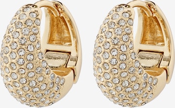 Pilgrim Örhängen 'Focus' i guld: framsida