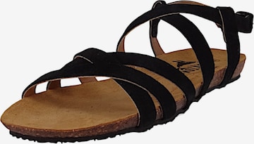 Sandales à lanières 'Mam Vali' Plakton en noir : devant