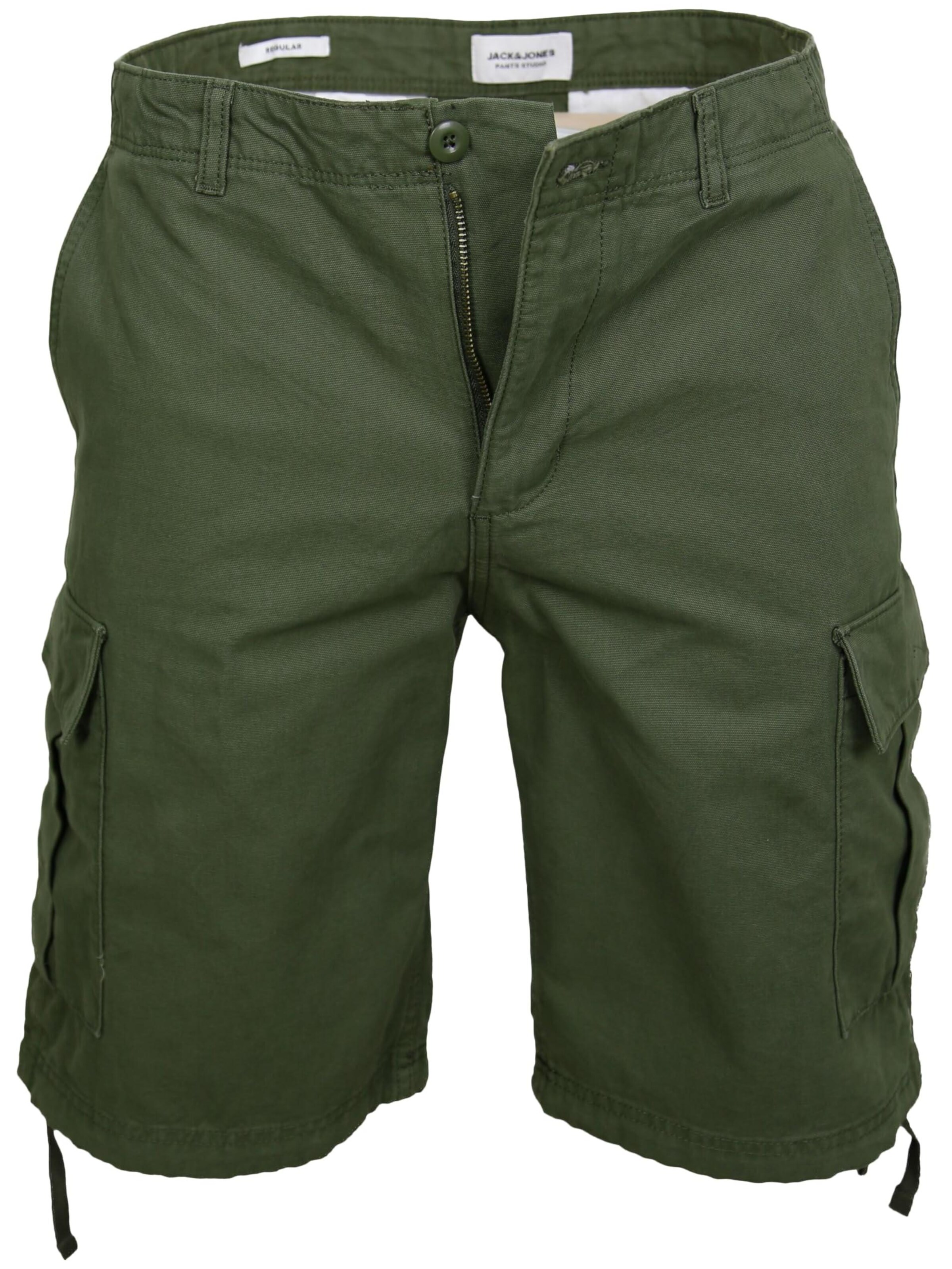 JACK & JONES Regular Cargo Pants 'JACK & JONES Herren Cargoshorts Freizeithose Shorts Kurze Hose' in Green: front