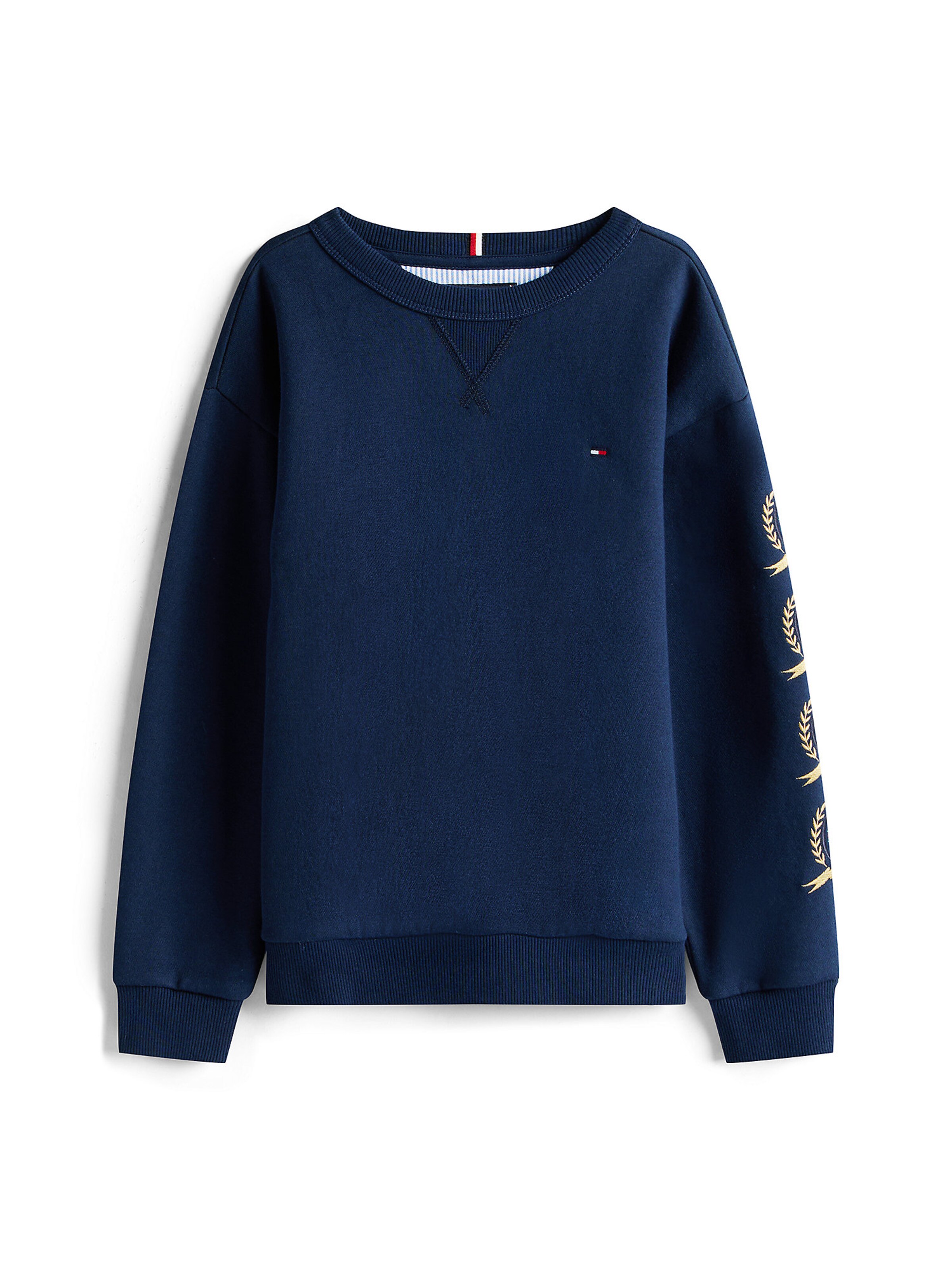 TOMMY HILFIGER Pullover in Blau: Vorderseite