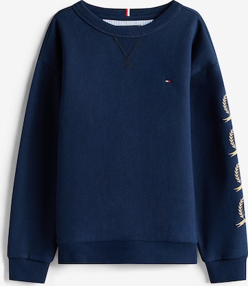 TOMMY HILFIGER Pullover in Blau: Vorderseite