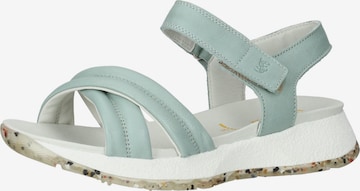 SALAMANDER Strap Sandals in Blue: front