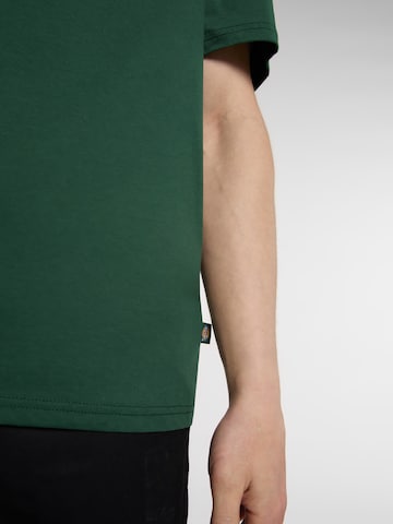 DICKIES Koszulka 'Mapleton' w kolorze zielony
