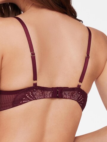 ESOTIQ - Push-up Sujetador 'Push-up-BH Tone, transparentes Mesh, Spitzenbesatz' en marrón